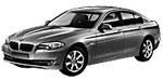 BMW F10 C20AA Fault Code